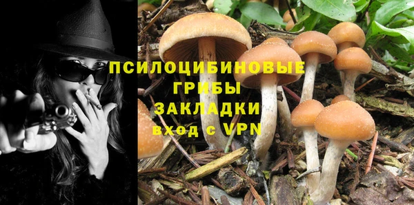apvp Верея