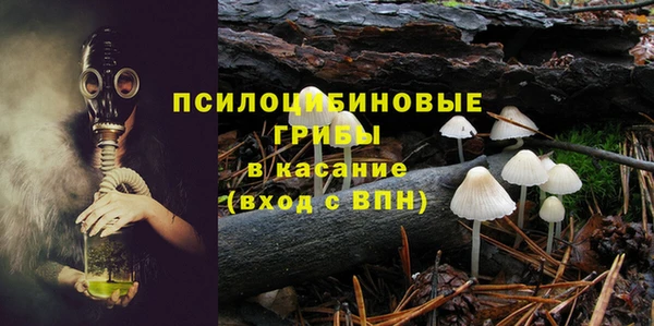 сатива Верхнеуральск