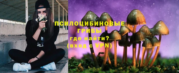 сатива Верхнеуральск