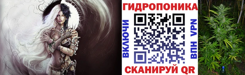 Каннабис конопля  Купить закладки  Мураши 